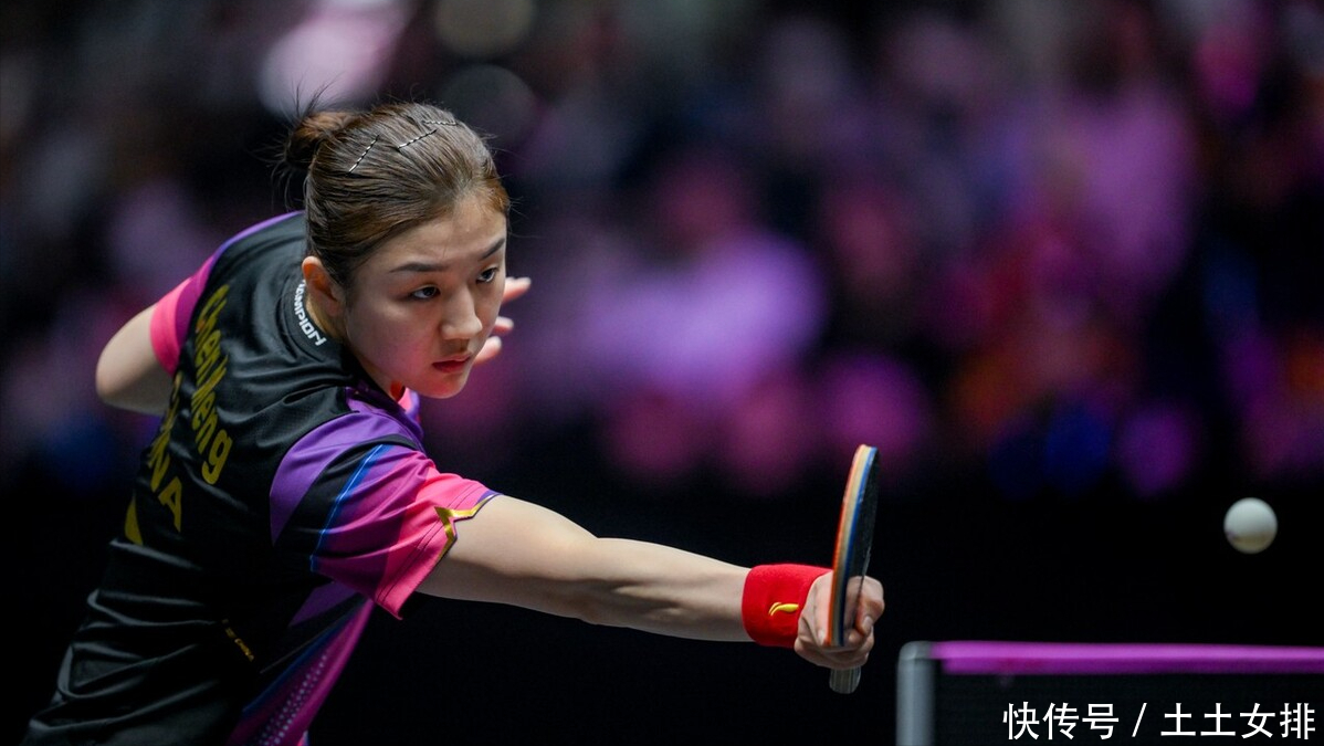 会显然延续 会显然延续