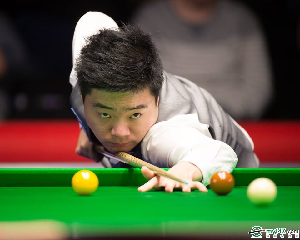 不可忽视 不可忽视